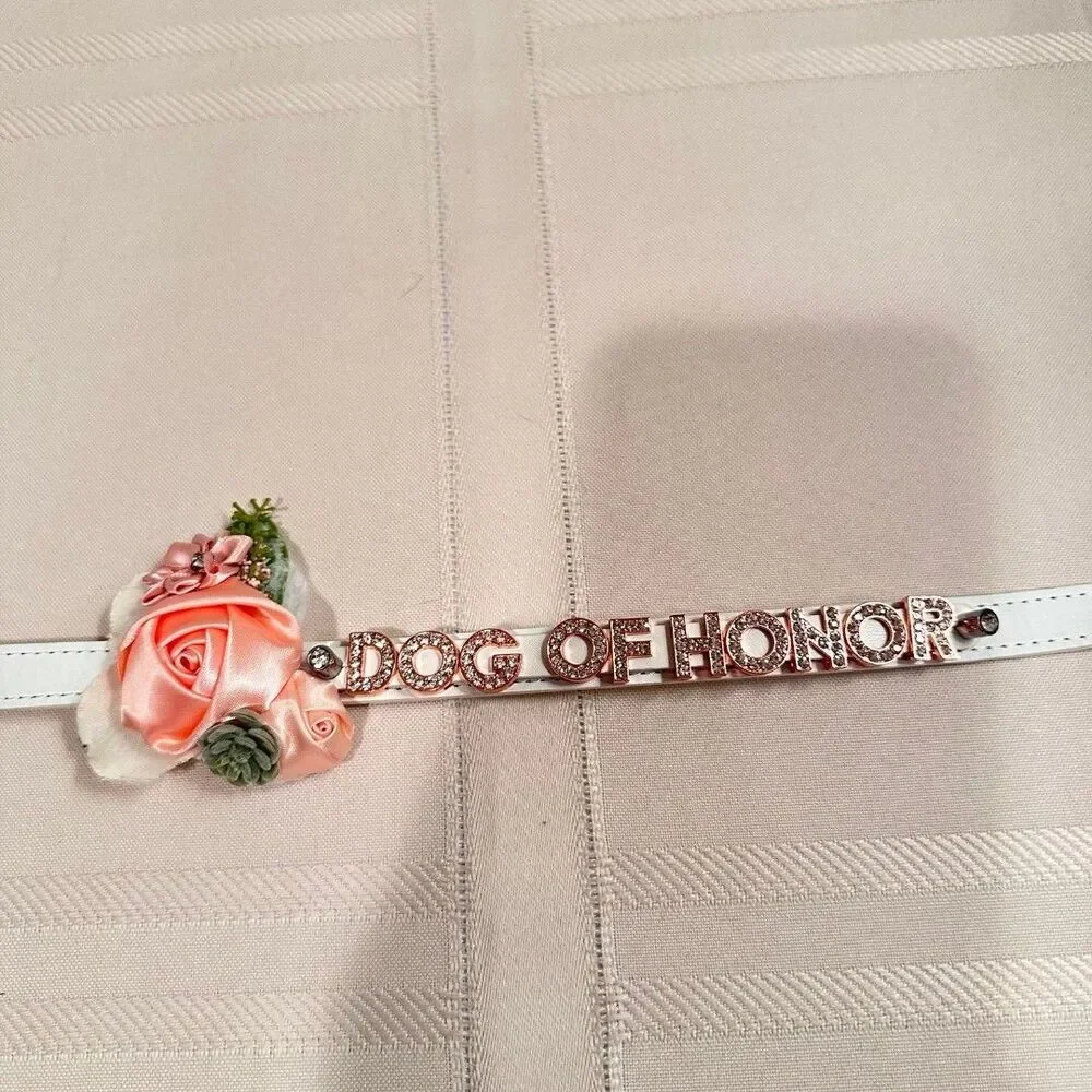 N/A dog leash